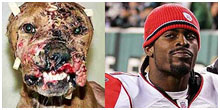 Michael Vick and a badly bruised dog